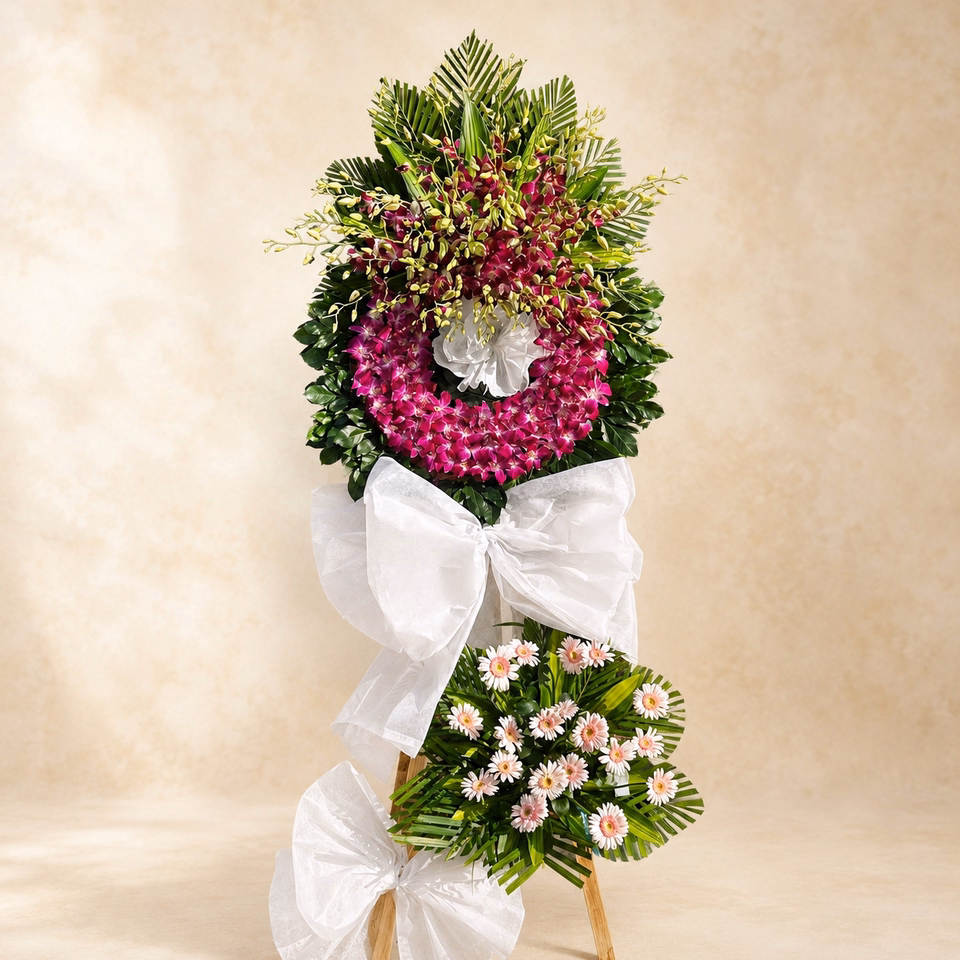 Chậu Lan Hồ Điệp Đột Biến Sang Trọng - Image 1